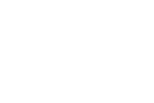 In Black Ink Logo